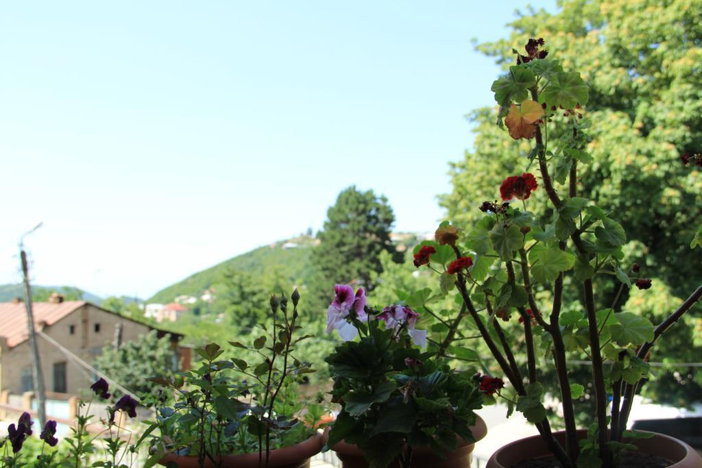 Guest House Eka & Gio Sighnaghi Εξωτερικό φωτογραφία